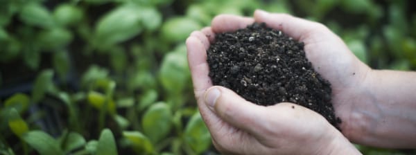 Diervriendelijke tuin - compost voor hergebruik
