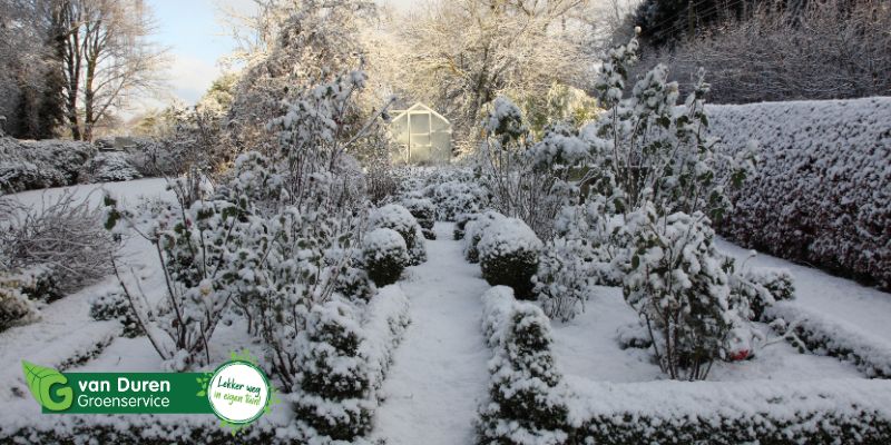 Tuin winterklaar maken voor een goede start van het voorjaar - Van Duren Groenservice tuinontwerp - tuinaanleg - tuinrenovatie - tuinonderhoud