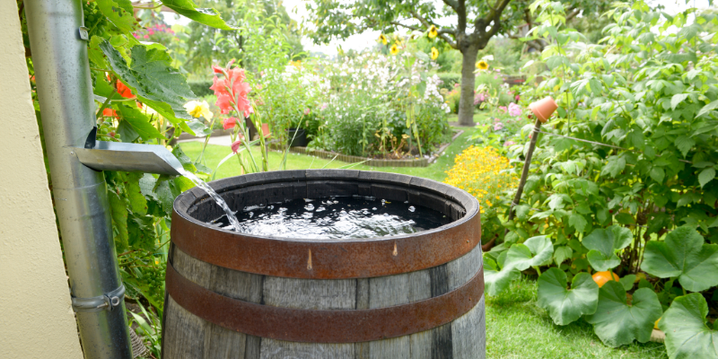 Water besparen in je tuin door middel van slim watergebruik
